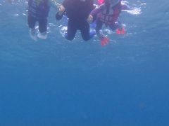 ɂimtida{Óւ̓eʐ^1