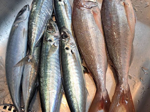 �����A�W�ƃ`�r��_�V���D�@�C�F��