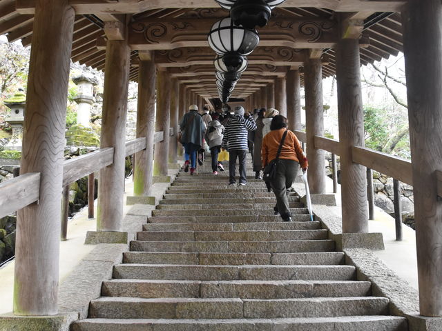 �O���`������̒��J���̓��e�ʐ^2