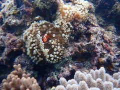 ݂imtida{Óւ̓eʐ^1