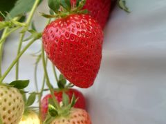 ҂̂Eu[x[_@x[̋ւ̓eʐ^1