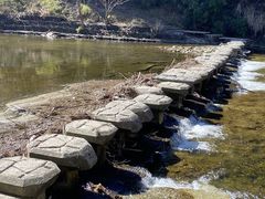 tacky̗{VkJւ̓eʐ^2