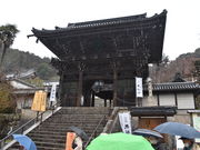 �O���`������̒��J���̓��e�ʐ^1