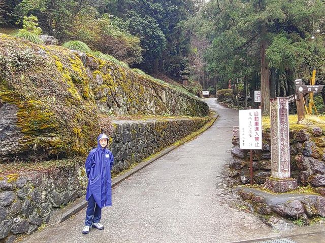 �����͑ې������ΐς݂ň͂܂�A���̕\�����ڗ����Ȃ��A���f�ȑ���ł���_������