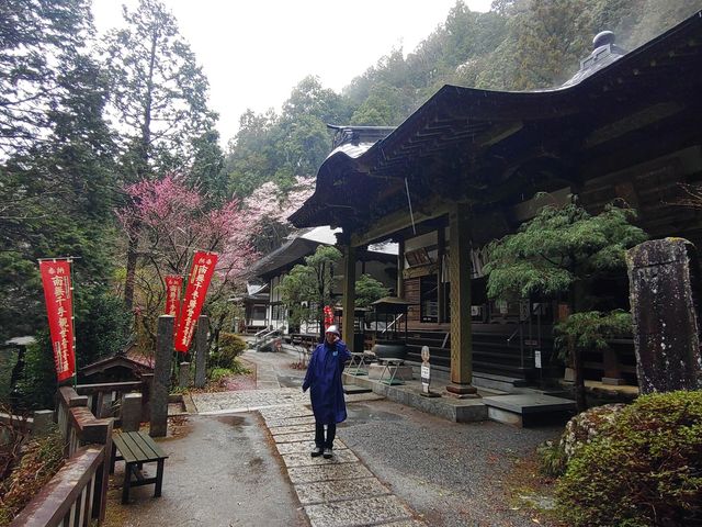 ������̊≮�����猩������_������