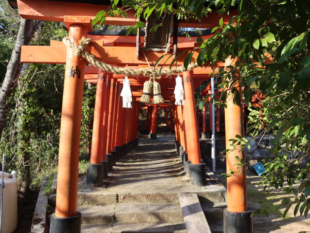 �������@�͂��Ƃ��א_��_�͂��Ƃ��א_��