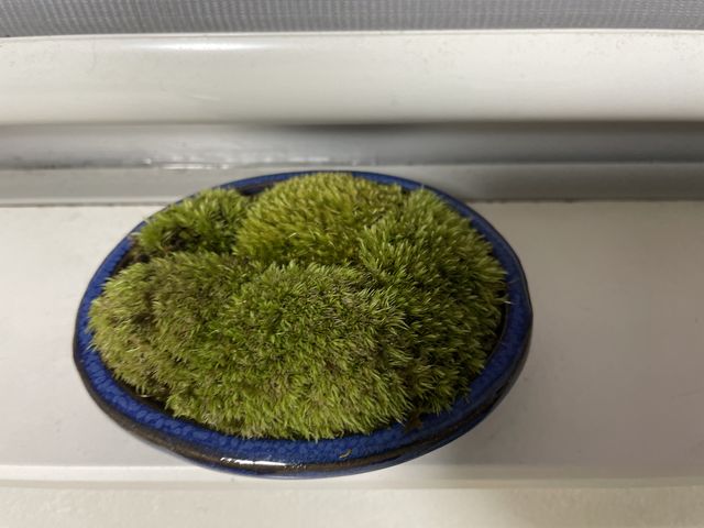 �ۖ~��_�A����