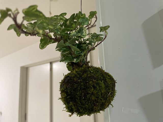 �ۋ�_�A����