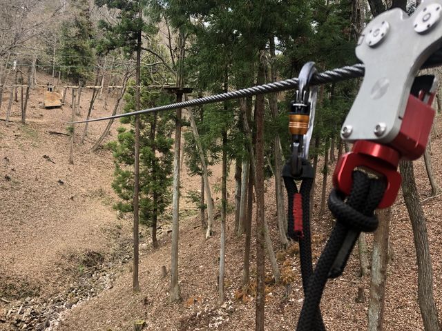 �W�b�v���C�������񂠂�y��������_�t�H���X�g�A�h�x���`���[�E����