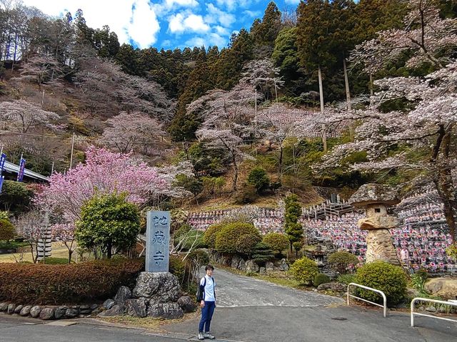 水子地蔵寺】アクセス・営業時間・料金情報 - じゃらんnet