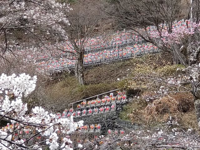 水子地蔵寺】アクセス・営業時間・料金情報 - じゃらんnet