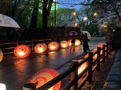 Shota����̉�������ւ̓��e�ʐ^1