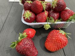 Shickeŷ̂ւ̓eʐ^1