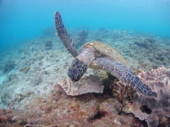 邳̃Go[u[vւ̓eʐ^1