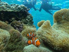 {Ó ADVENTURE PiPi̎ʐ^2