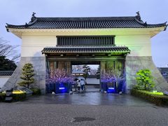 Shota����̉�������ւ̓��e�ʐ^1