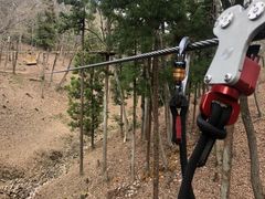 ͂邿񂳂̃tHXgAhx`[Eւ̓eʐ^1