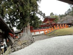 �t����Ж{�Ж{�a�̎ʐ^1