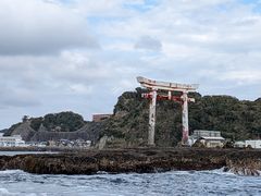 nyaoSeafari Japanւ̓eʐ^1