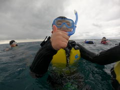 qfṼ}T[rXނʁ[ւ̓eʐ^1