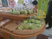 ̋T[rXGAij̓eʐ^2