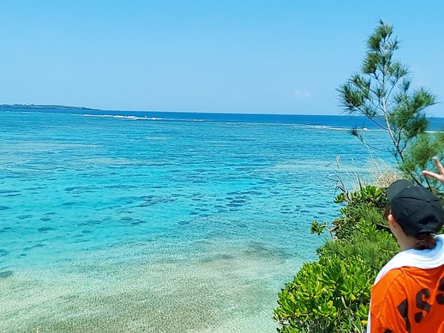 �Y�킷����_�J�m�A�_�C�u Kanoa Dive