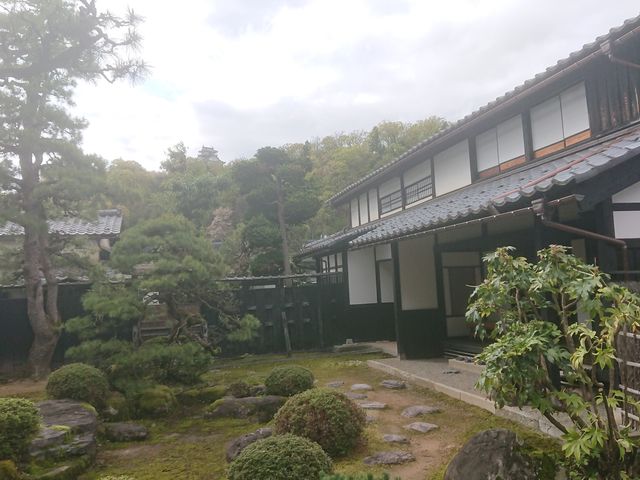 ���Ɖ��~�����R��