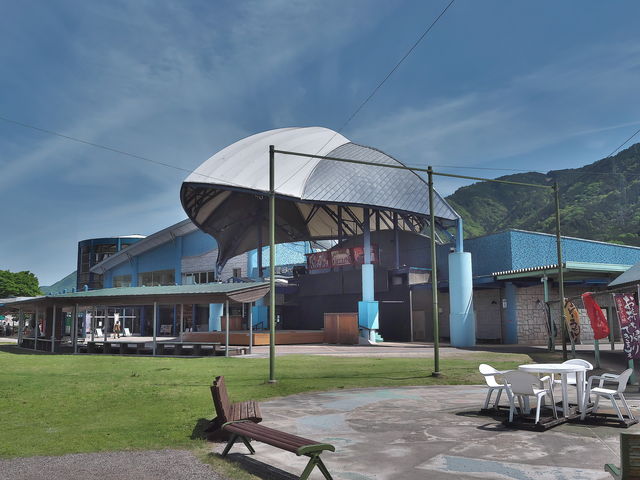 ���Z�c�̓�_�g���n�C�E�F�C�I�A�V�X