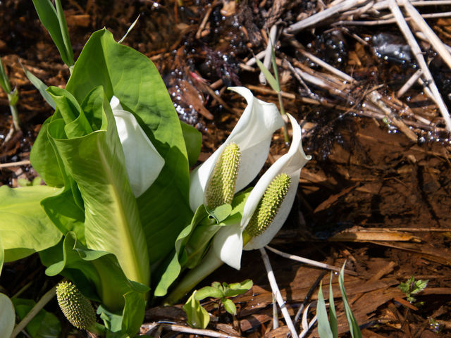 ryoma20̕z̃~YoVEQn̓eʐ^2