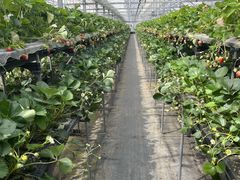 ݁[񂳂̋Gߑ̌_@Ԃ̊Cւ̓eʐ^1