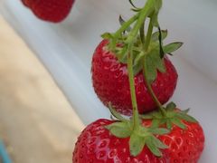 ҂̂Eu[x[_@x[̋ւ̓eʐ^2