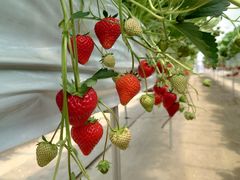 ҂̂Eu[x[_@x[̋ւ̓eʐ^3