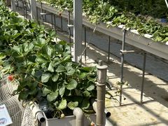 watanabẽXgx[t@[ւ̓eʐ^1