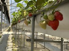 watanabẽXgx[t@[ւ̓eʐ^2