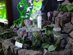 chicöɓ킳у~[WAւ̓eʐ^2