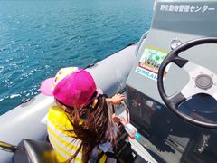 mikkȍucA[ւ̓eʐ^1