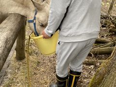 ݂Ȃ̃cq@Ђ܂nNuւ̓eʐ^1