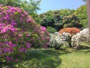 Ă񂳂̉_䖦̓eʐ^1