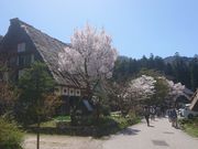 ��イ����̖��P�����y�ق̓��e�ʐ^1