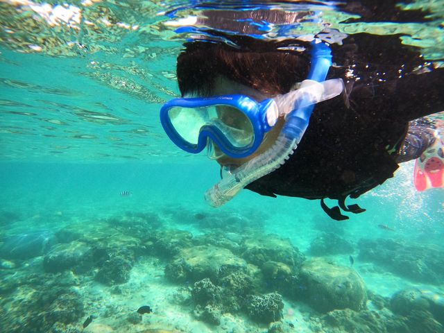 ���ɖ����i���ǂ������j_����S���_�C�u