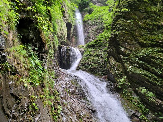 �Y��ȑ�ł�_�����̑�