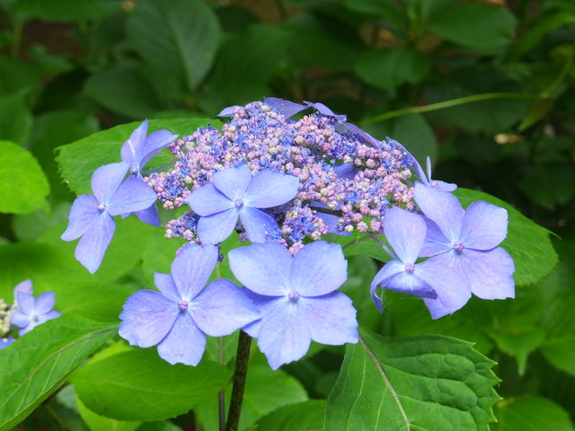 �R���z��_����b�ώR��