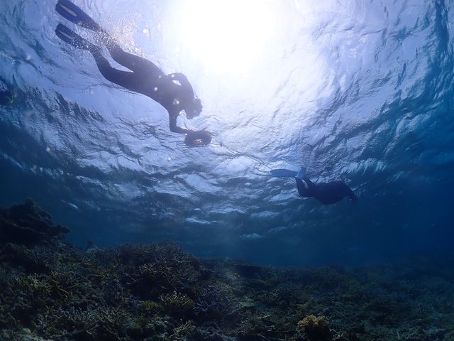 �ō��ł���_�_�C�r���O�T�[�r�X�ɊC