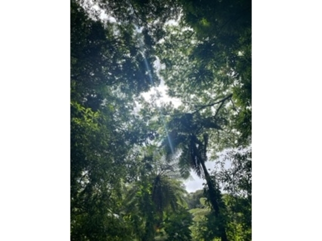 ���X�����������őf�G�Ȏʐ^���Ƃ�܂���_�����g���b�N