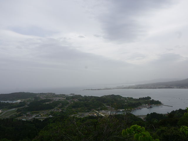 �C���Y��Ɍ����܂�_�T�R