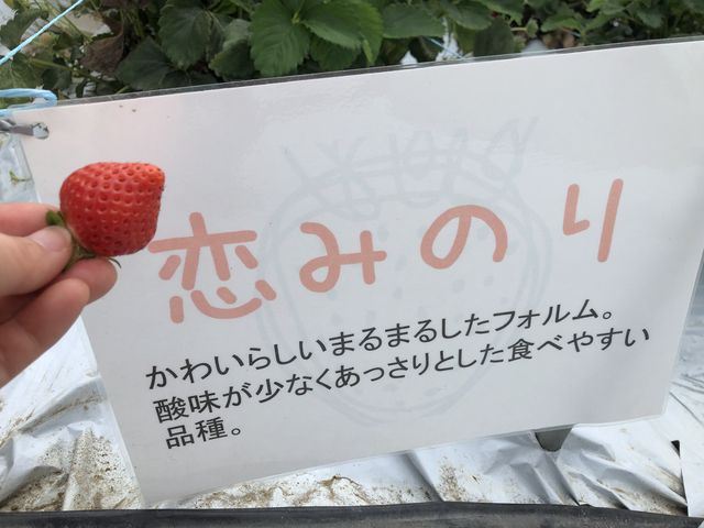 �R�����Ɖ��炵���`�ł���_�삢�����_��