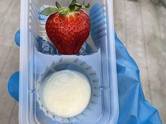 ̂Ԃ񂱂̎R삢ւ̓eʐ^1