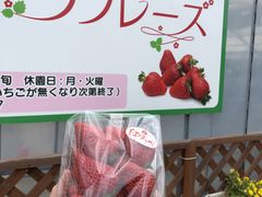 ҂񂳂̂t[Yւ̓eʐ^1