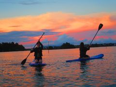 ̖` ꑍAEghAcA[Xւ̓eʐ^1