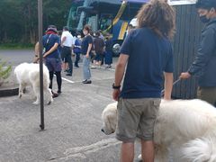 ^J񂳂̐AEghAZ^[(X)ւ̓eʐ^1